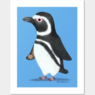 Magellanic Penguin Posters and Art